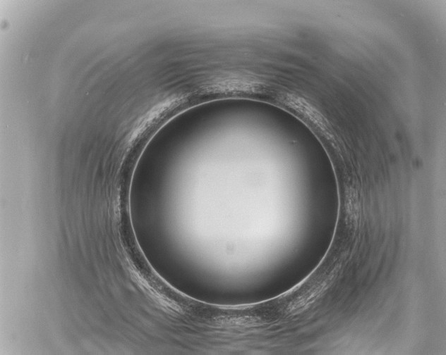 X0000060770629200511141258