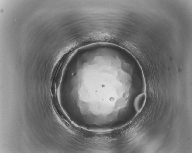 X0000060770630200511141258