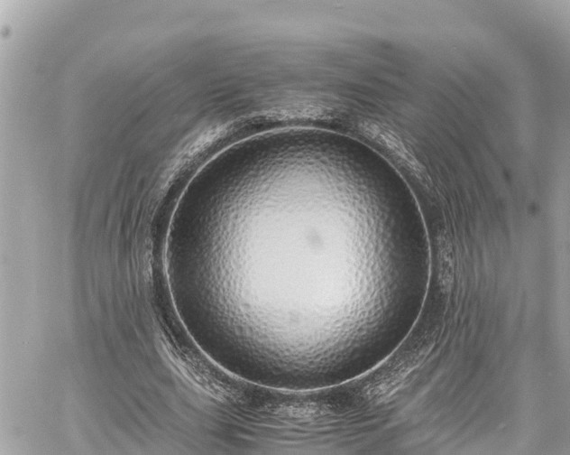 X0000060770631200511141258