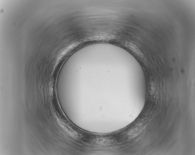 X0000060770632200511141258