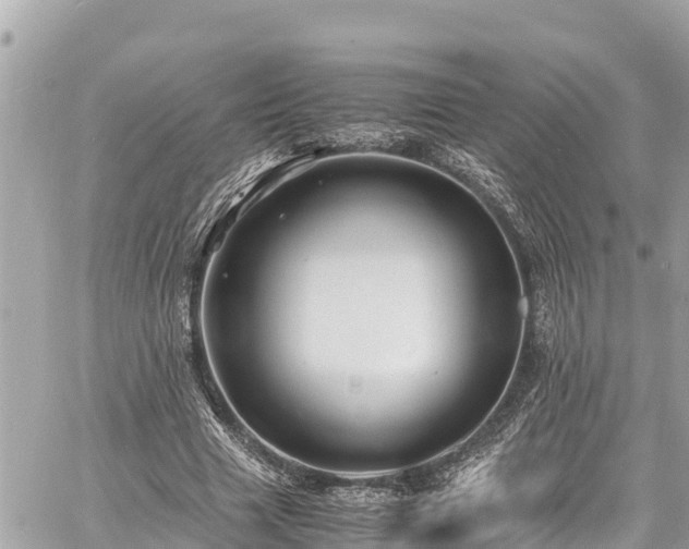 X0000060770633200511141258