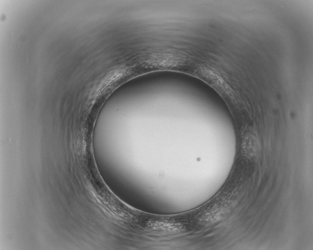 X0000060770635200511141258