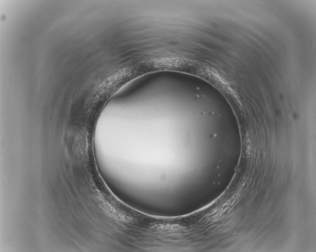 X0000060770637200511141258