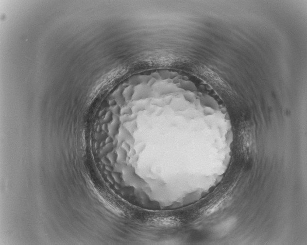 X0000060770638200511141258