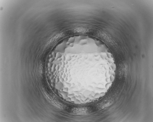 X0000060770639200511141258