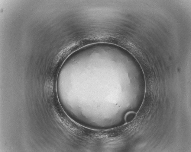 X0000060770640200511141258