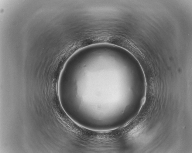 X0000060770641200511141258