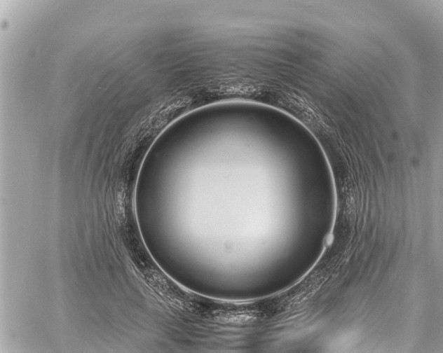 X0000060770643200511141258