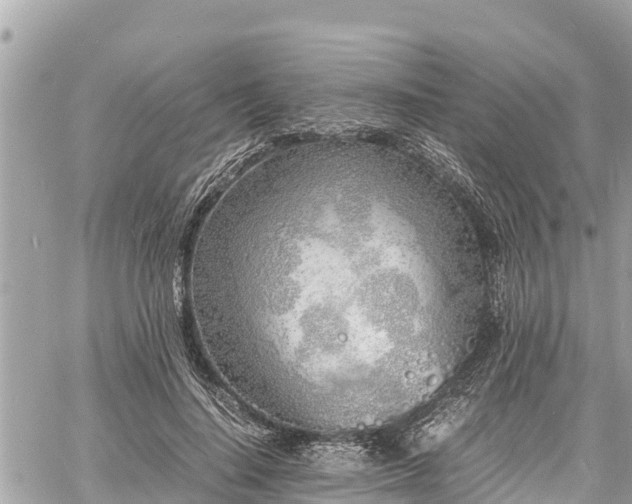 X0000060770644200511141258