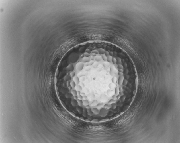 X0000060770645200511141258