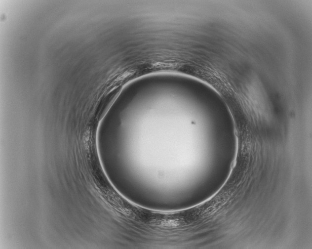 X0000060770647200511141258