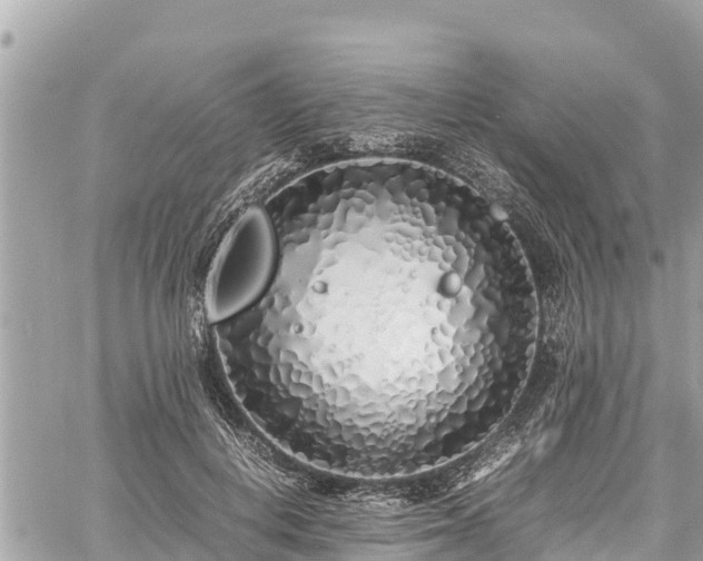 X0000060770648200511141258