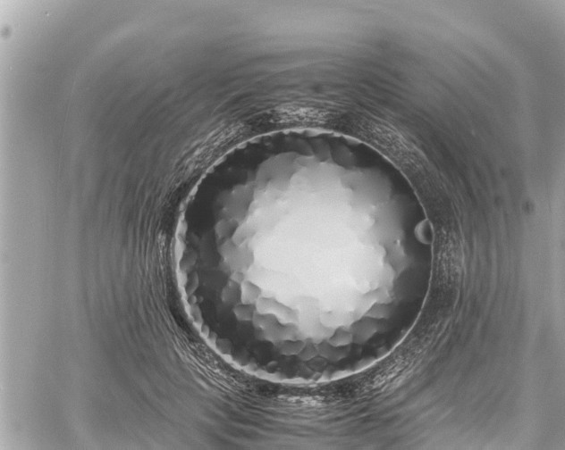 X0000060770649200511141258