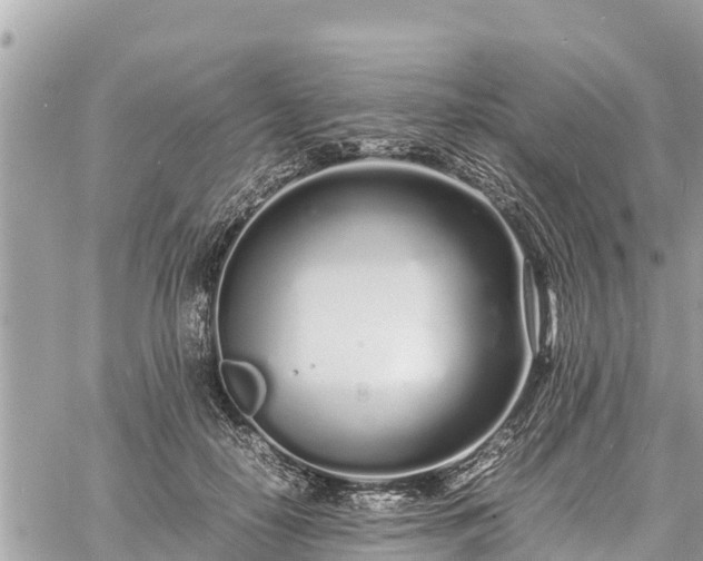 X0000060770650200511141258