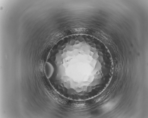 X0000060770651200511141258