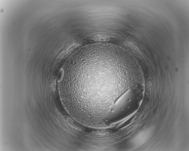 X0000060770652200511141258