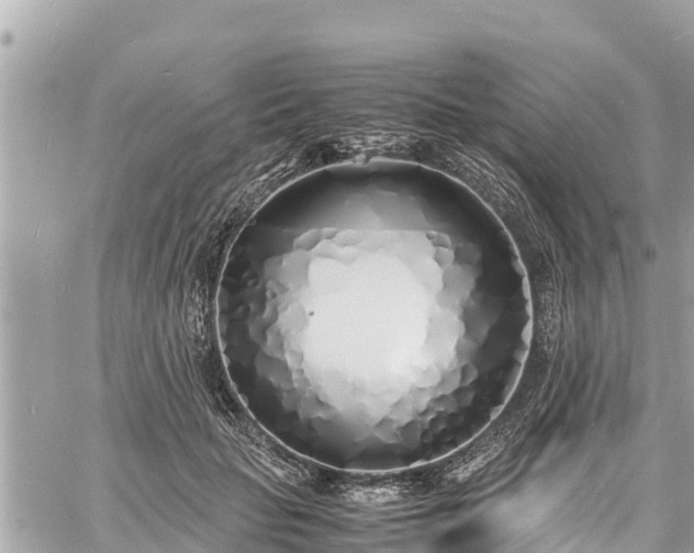 X0000060770653200511141258