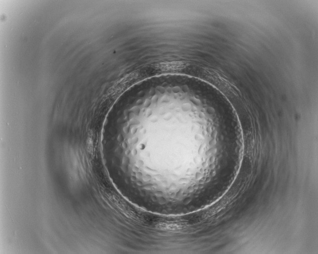 X0000060770655200511141258