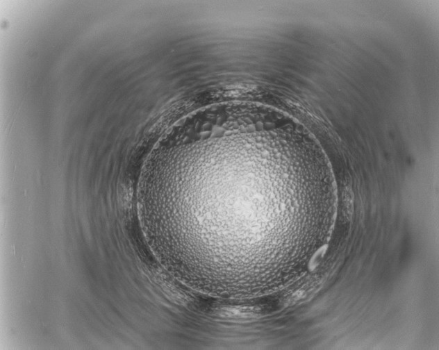 X0000060770657200511141258