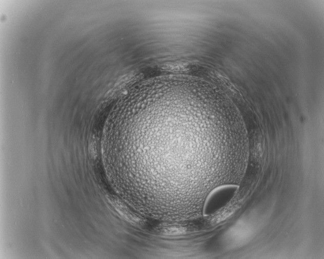 X0000060770658200511141258