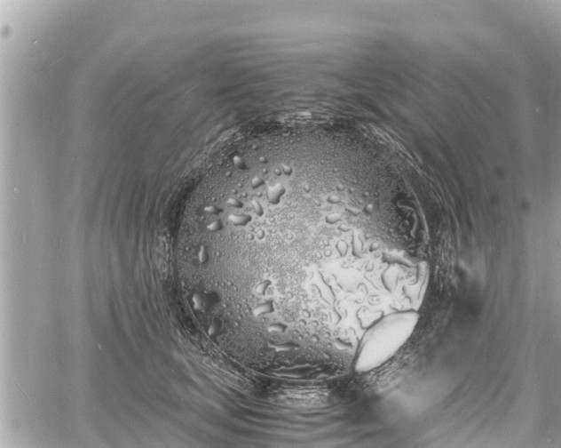 X0000060770659200511141258