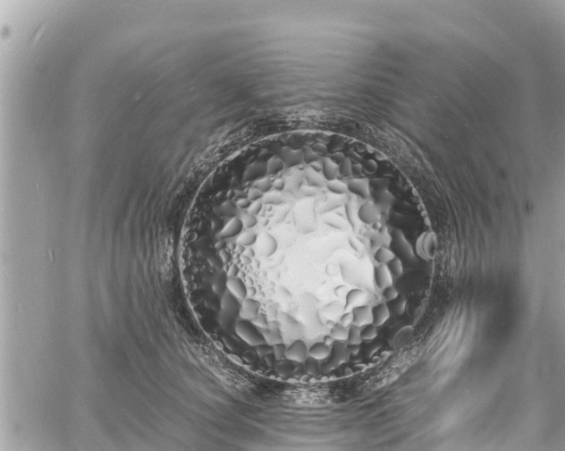 X0000060770660200511141258