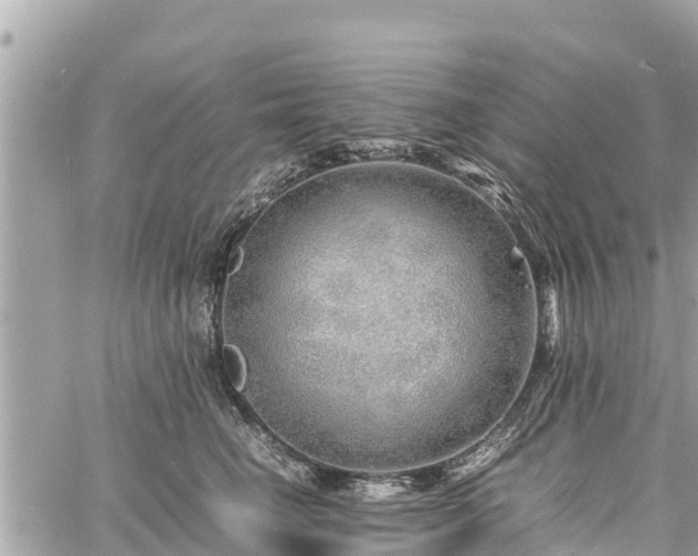 X0000060770662200511141258