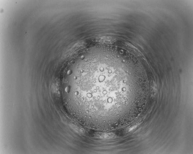 X0000060770663200511141258