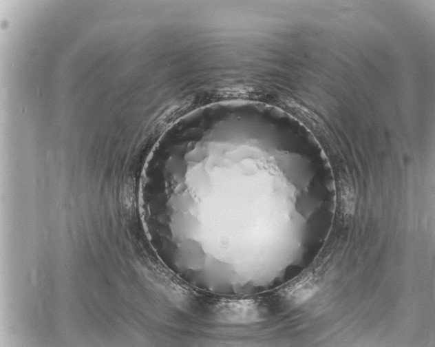 X0000060770665200511141259