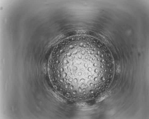 X0000060770666200511141259