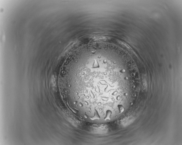 X0000060770667200511141259