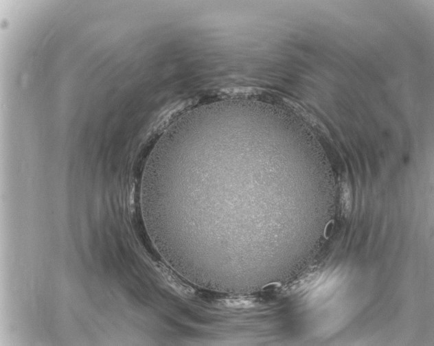 X0000060770668200511141259