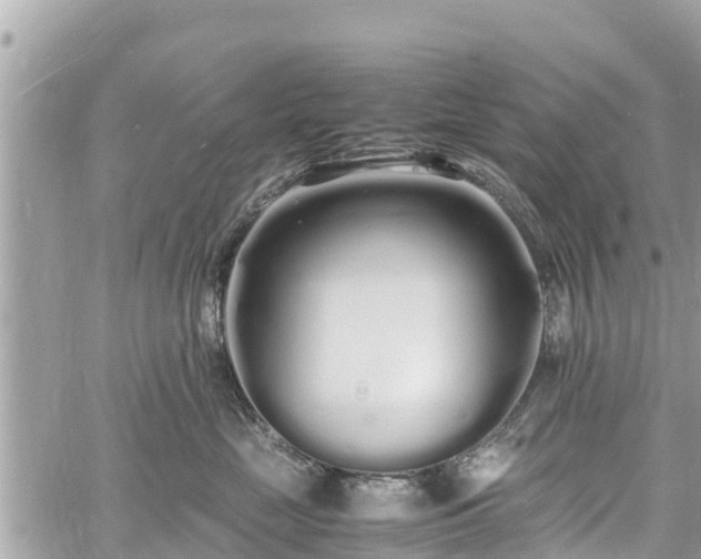 X0000060770669200511141259