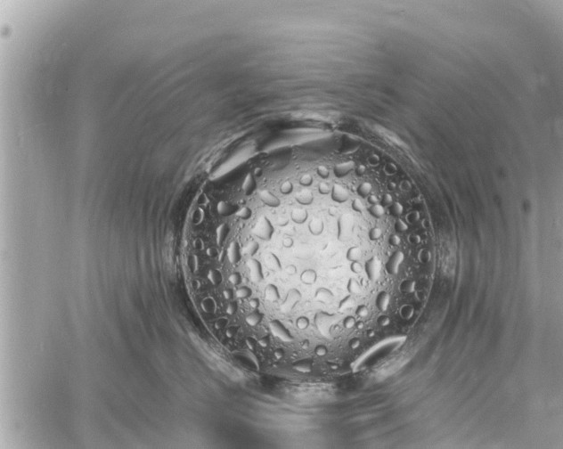 X0000060770670200511141259