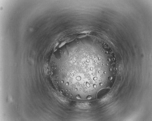 X0000060770671200511141259