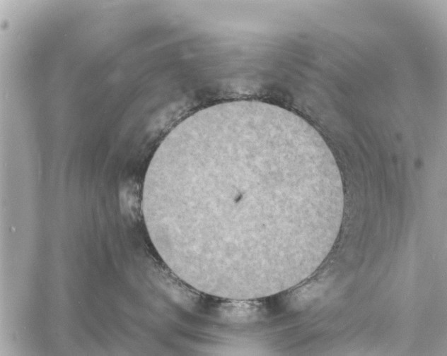 X0000060770672200511141259