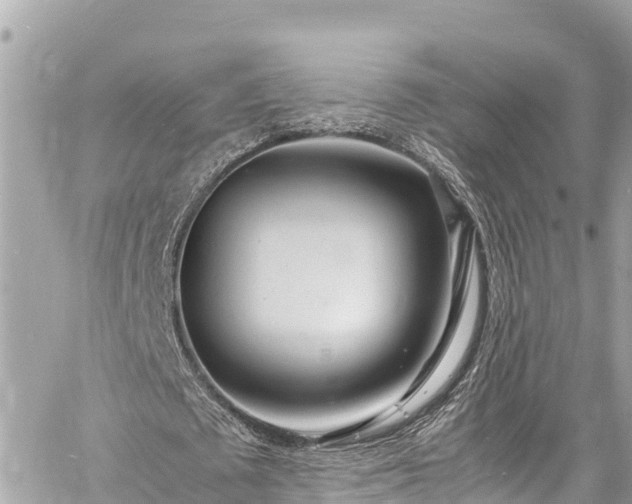 X0000060770673200511141258