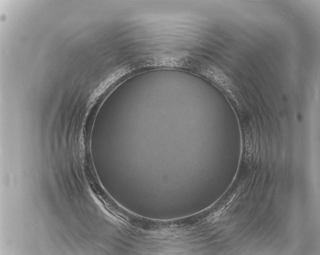 X0000060770674200511141258