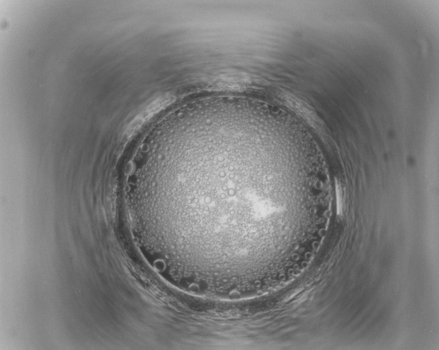 X0000060770675200511141258