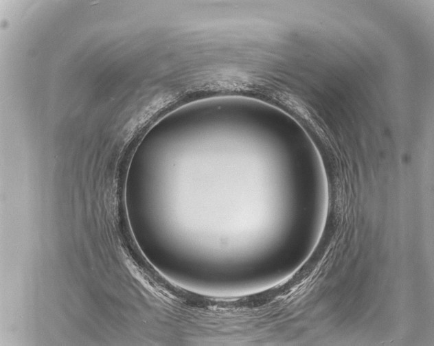 X0000060770677200511141258