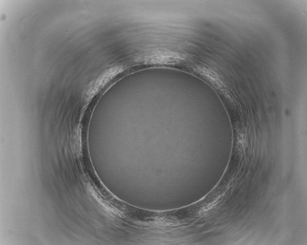 X0000060770678200511141258