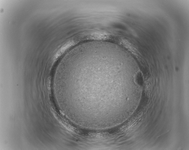 X0000060770679200511141258