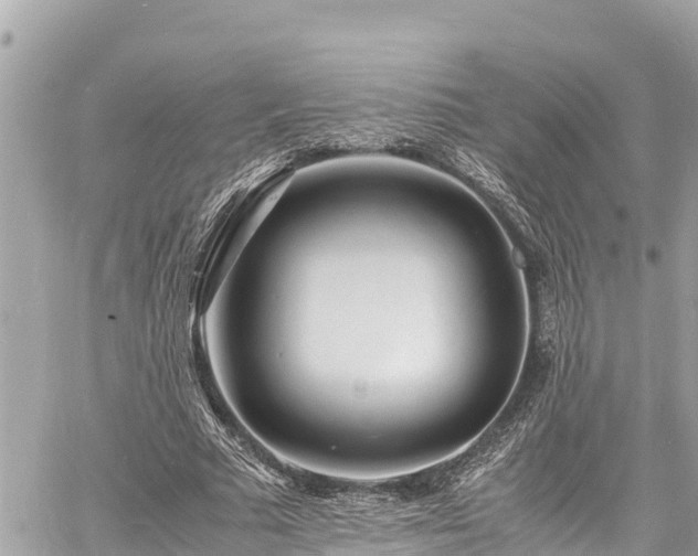 X0000060770681200511141258