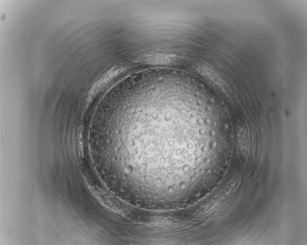 X0000060770682200511141258