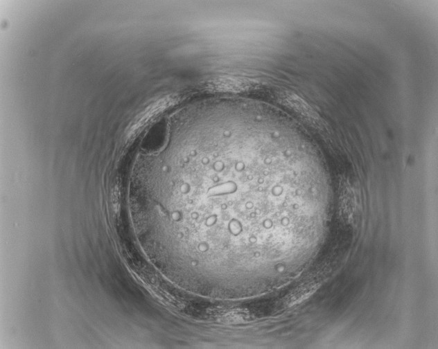 X0000060770683200511141258