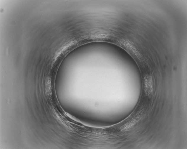 X0000060770684200511141258