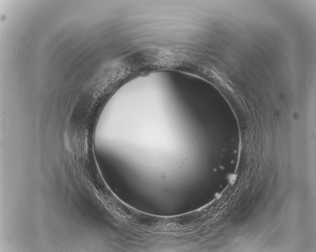 X0000060770685200511141258