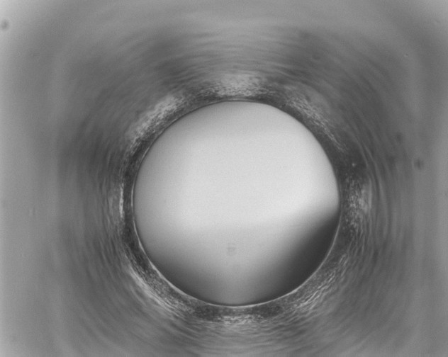 X0000060770686200511141258