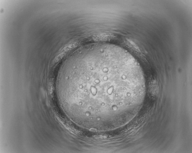 X0000060770687200511141258