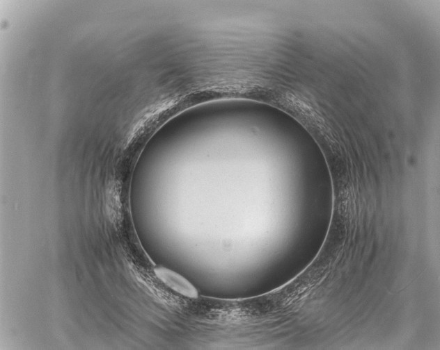 X0000060770688200511141258